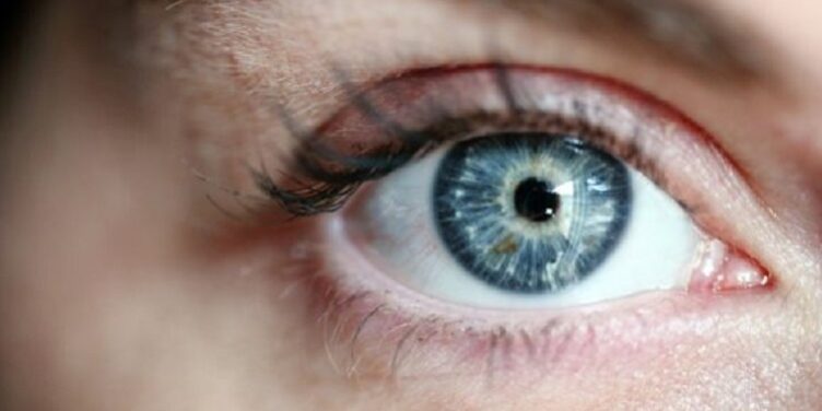 oko svg+xml,%3Csvg%20xmlns%3D'http%3A%2F%2Fwww.w3