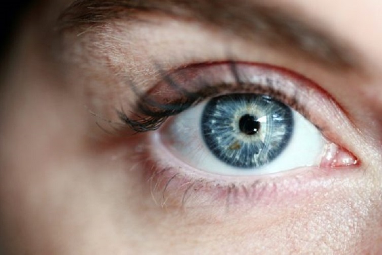 oko svg+xml,%3Csvg%20xmlns%3D'http%3A%2F%2Fwww.w3